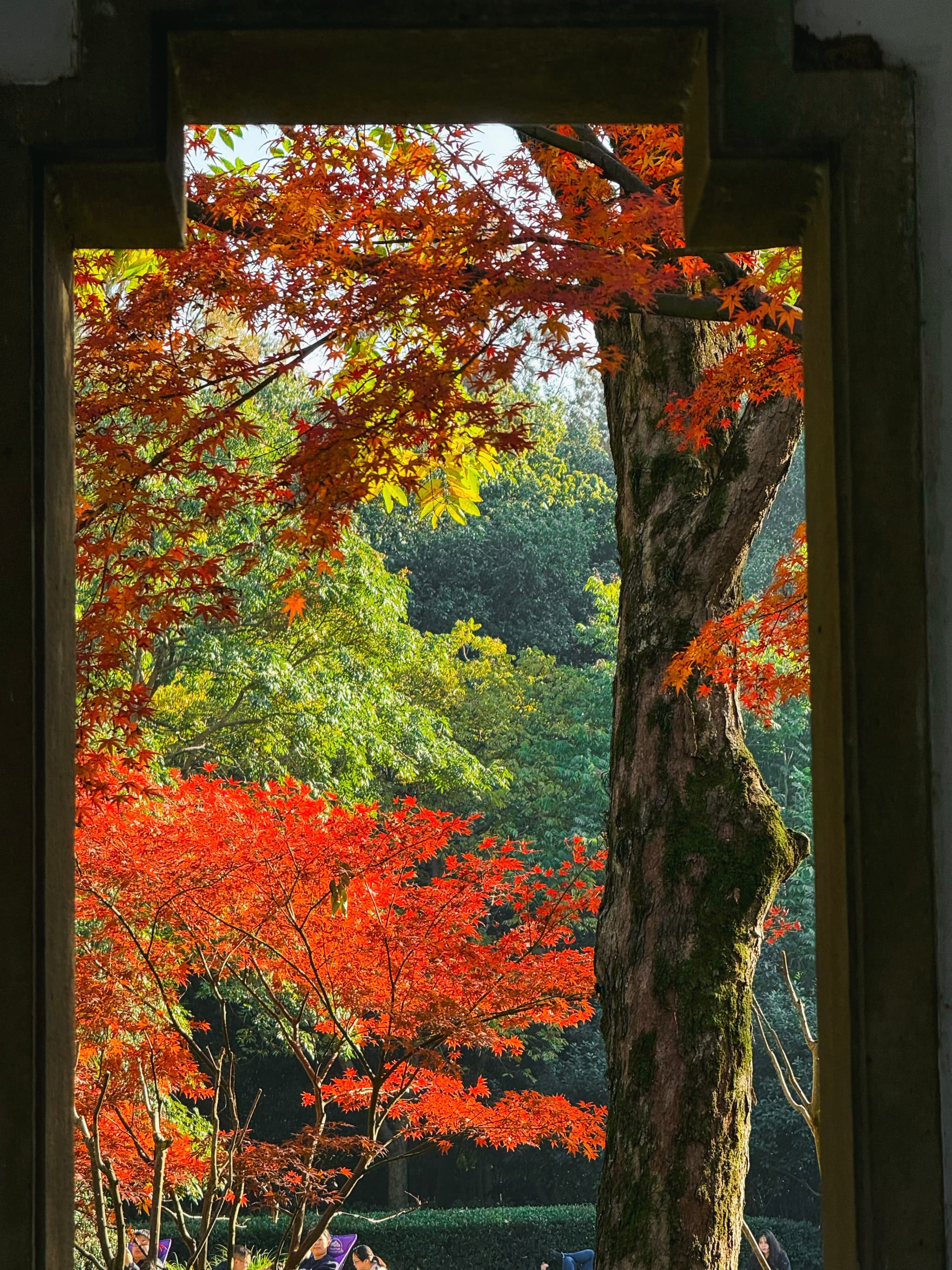 A nighttime wedding celebration in a village setting near water, with stars visible in the sky