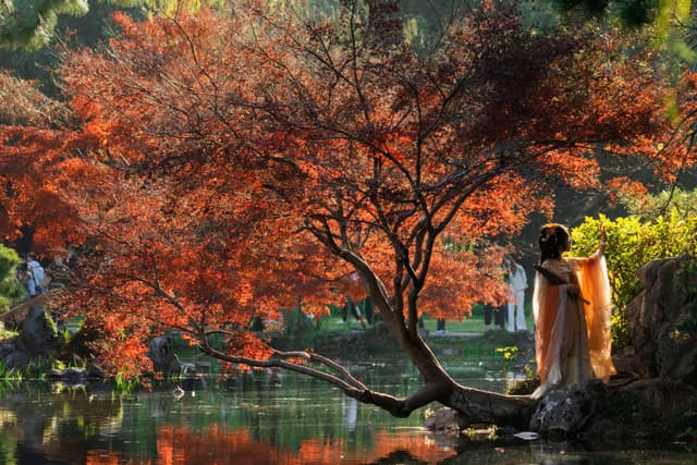 A tranquil nighttime scene of a small village nestled by water, with illuminated houses reflecting on the calm surface under a star-filled sky