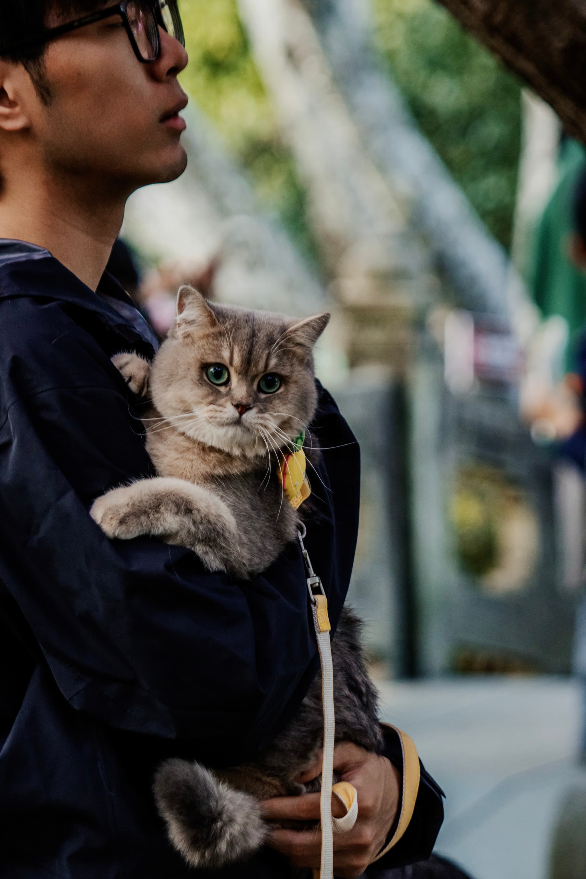 A nighttime wedding celebration in a village by the water, with festive lights and a starry sky above