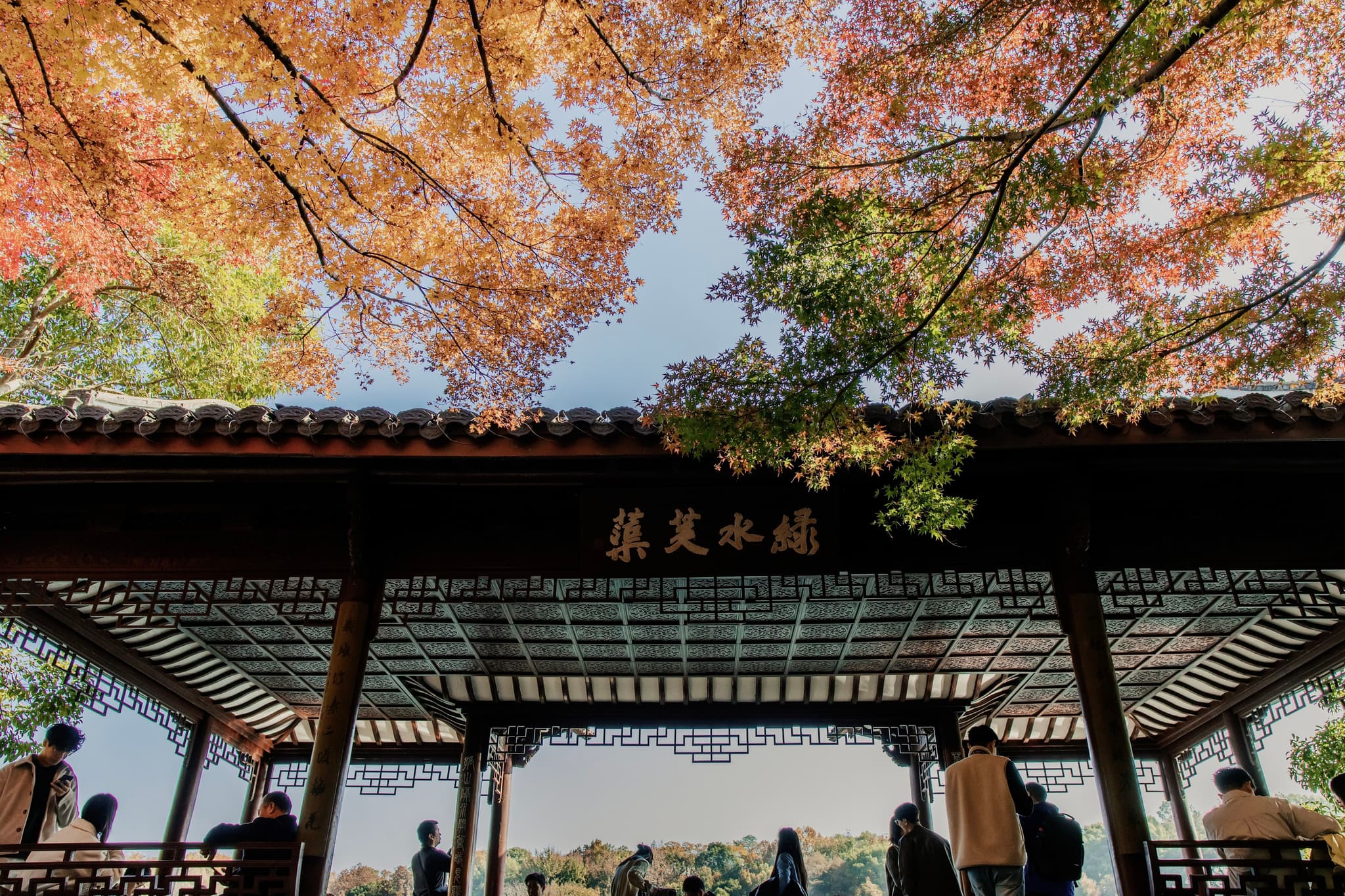 A close-up view of a weathered, dark green metal surface covered in droplets of water, creating a textured pattern of condensation